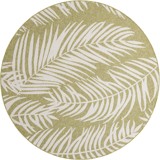 Color variant
