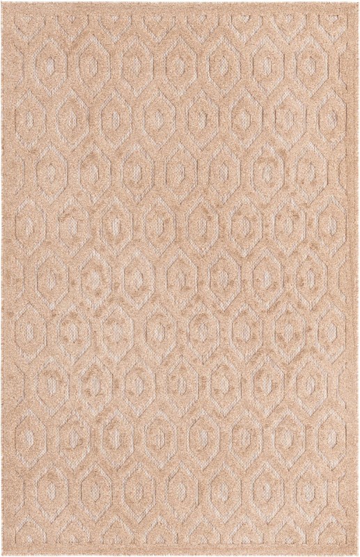 5' 3 x 8' Roanoke · Geometric lattice Outdoor Rug, warm beige