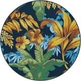 Color variant