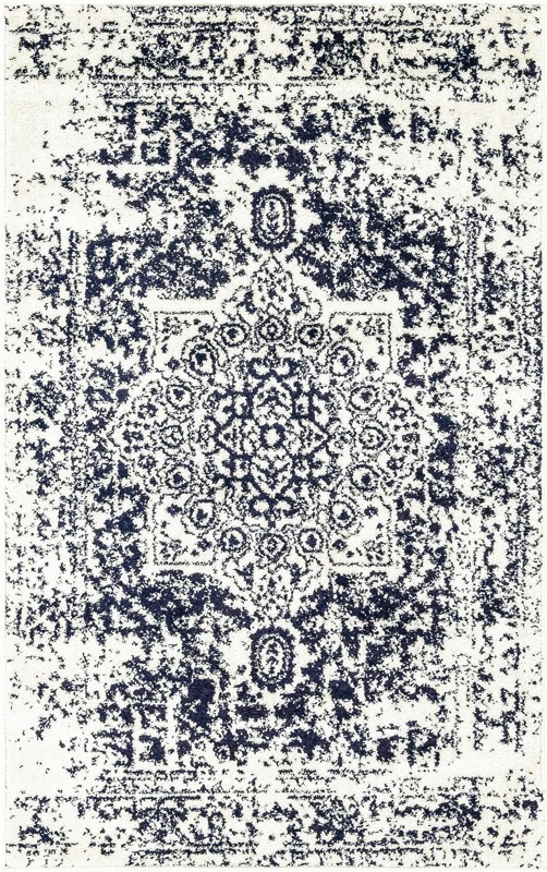 3' x 5' 3 Birch · Distressed medallion rug, blue and ivory
