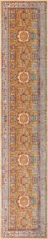 2' 7 x 13' Delmar · Border rug