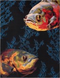 Color variant
