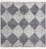 Color variant