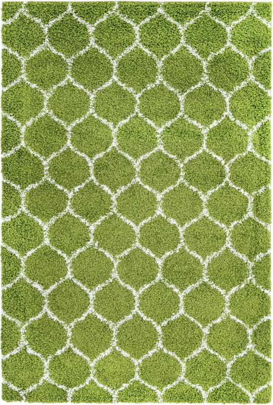 6' x 9' Barnett · Lattice Shag Rug, green