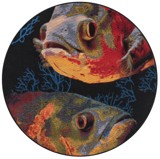 Color variant