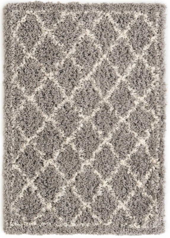 4' x 6' Kemble · Border Shag Rug, ash gray
