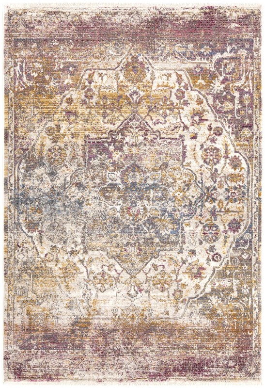 4' x 5' 10 Denver · Border rug, multi