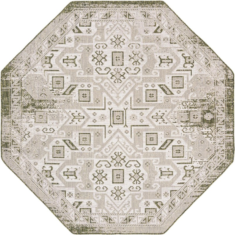 7' 10 x 7' 10 Estuary · Border Outdoor Rug, green