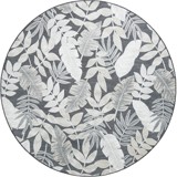 Color variant