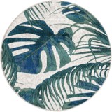 Color variant