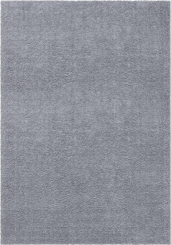 10' x 14' Dunham · Solid Shag Rug, lgrey