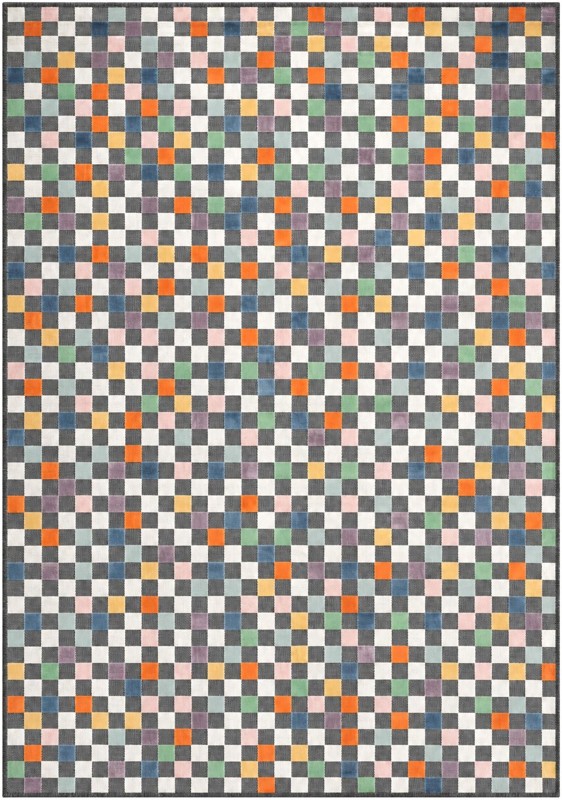 6' 4 x 9' Carmichael · Checkered Outdoor Rug, multi