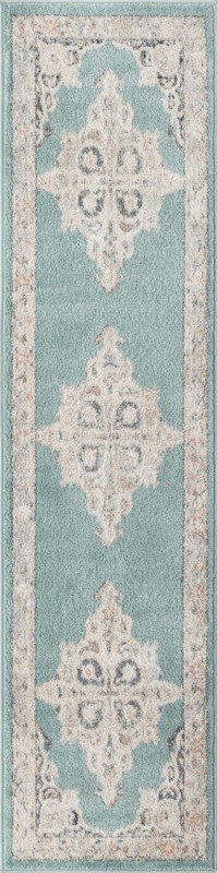 2' x 8' Selby · Border rug, aqua