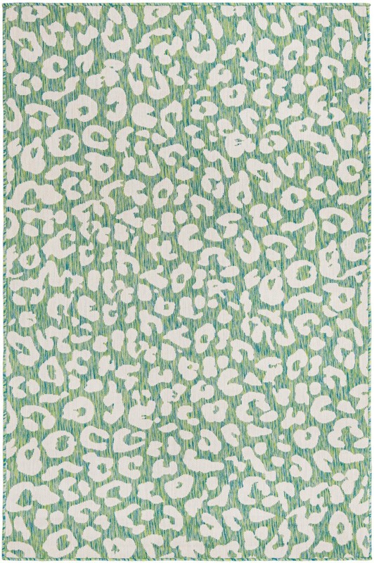 5' 3 x 8' Cardamom · Animal print Outdoor Rug