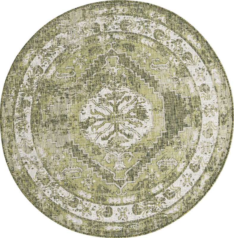 5' 3 x 5' 3 Wylie · Border Outdoor Rug, green
