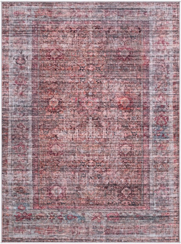 5' 3 x 7' Murrow · Distressed traditional rug, rust and brown