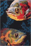 Color variant
