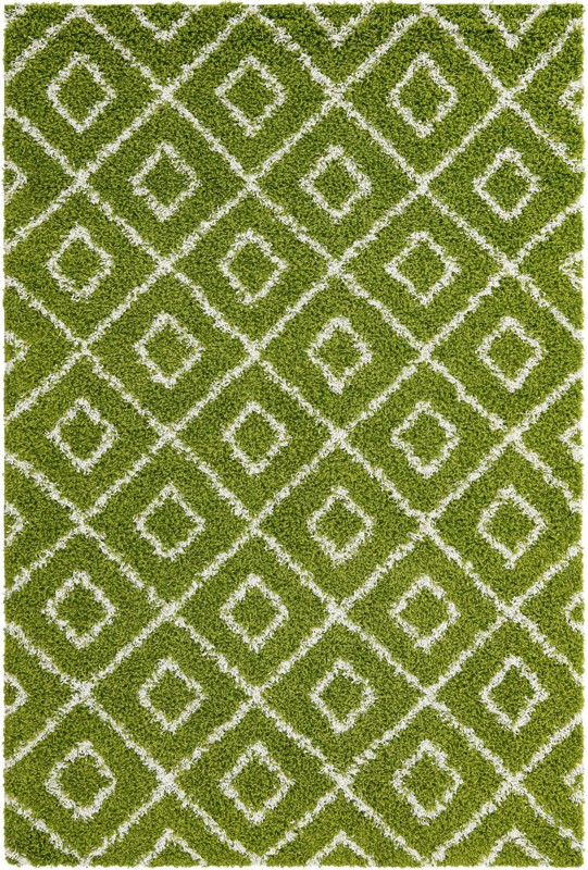 6' x 9' Brock · Diamond Shag Rug, green