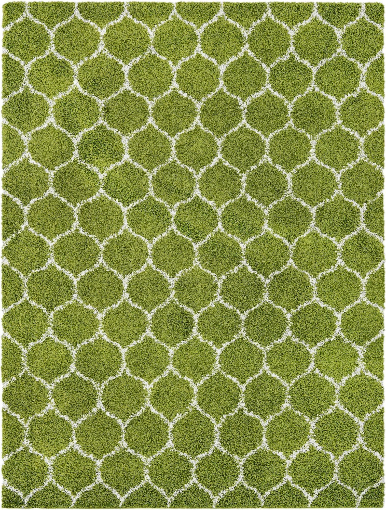 9' x 12' Barnett · Lattice Shag Rug, green
