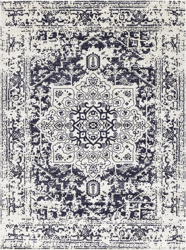 9' x 12' Birch · Distressed medallion rug, blue and ivory