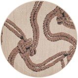 Color variant