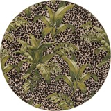 Color variant
