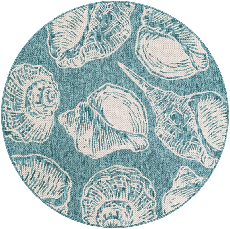 5' 3 x 5' 3 Arcata · Outdoor Rug, aqua