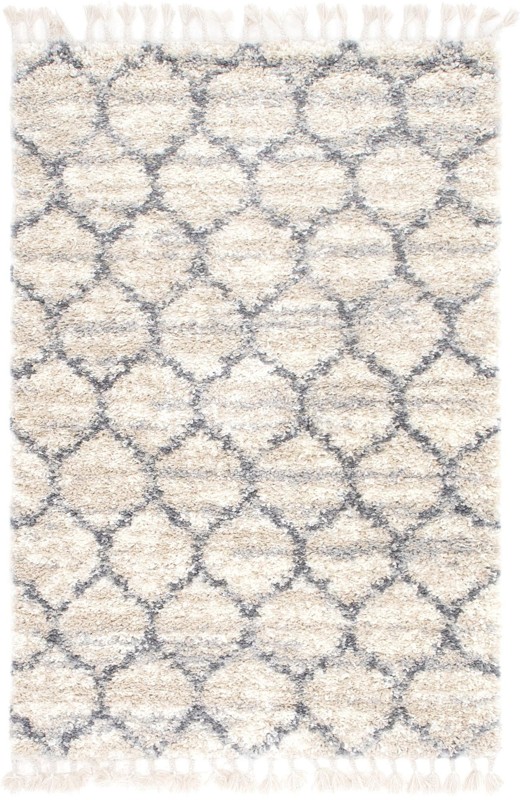4' x 6' Everett · Lattice Shag Rug, beige