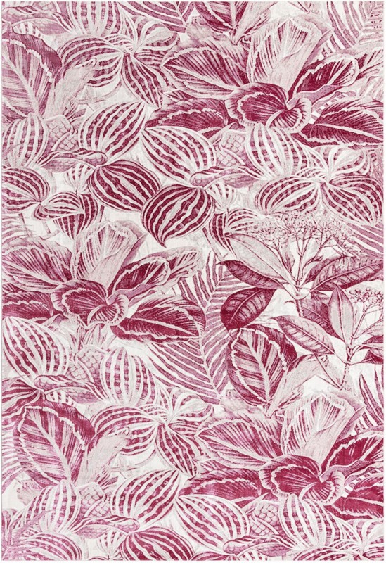 Herrick · Floral / botanical rug, fuschia