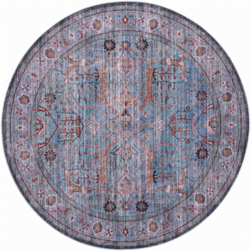 5' 3 x 5' 3 Mayfield · Distressed floral rug, blue and rust