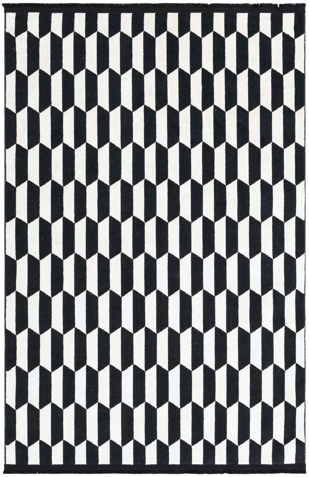 4' x 6' Dunning · Geometric chevron rug, black and white
