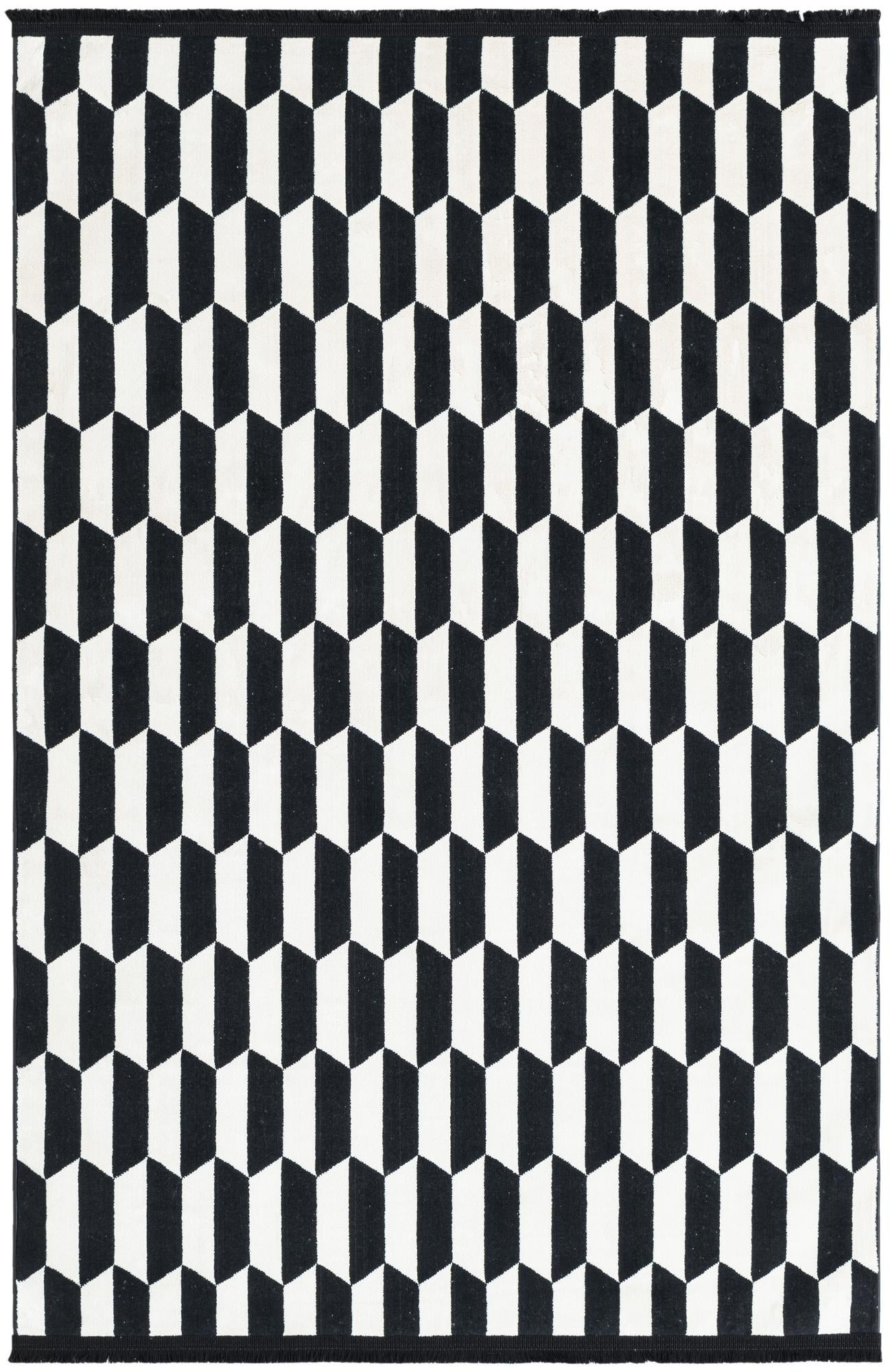 4' x 6' Dunning · Geometric chevron rug, black and white