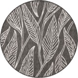 Color variant
