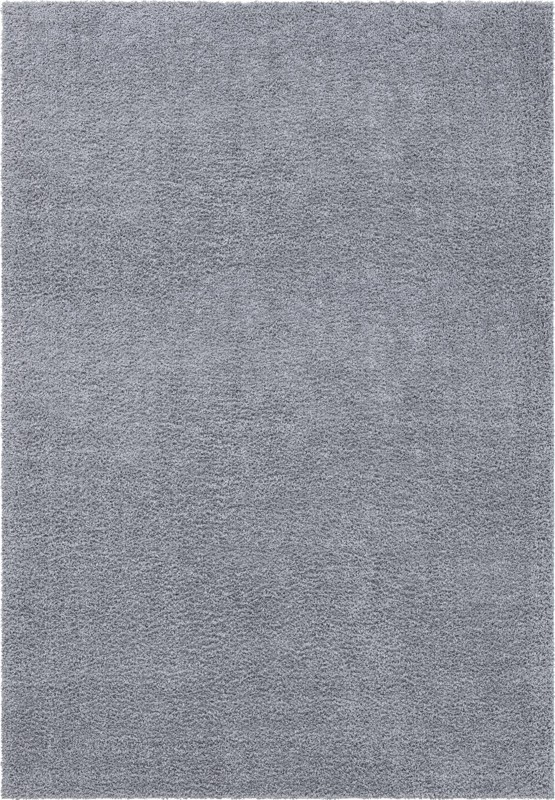 4' x 6' Dunham · Solid Shag Rug, lgrey