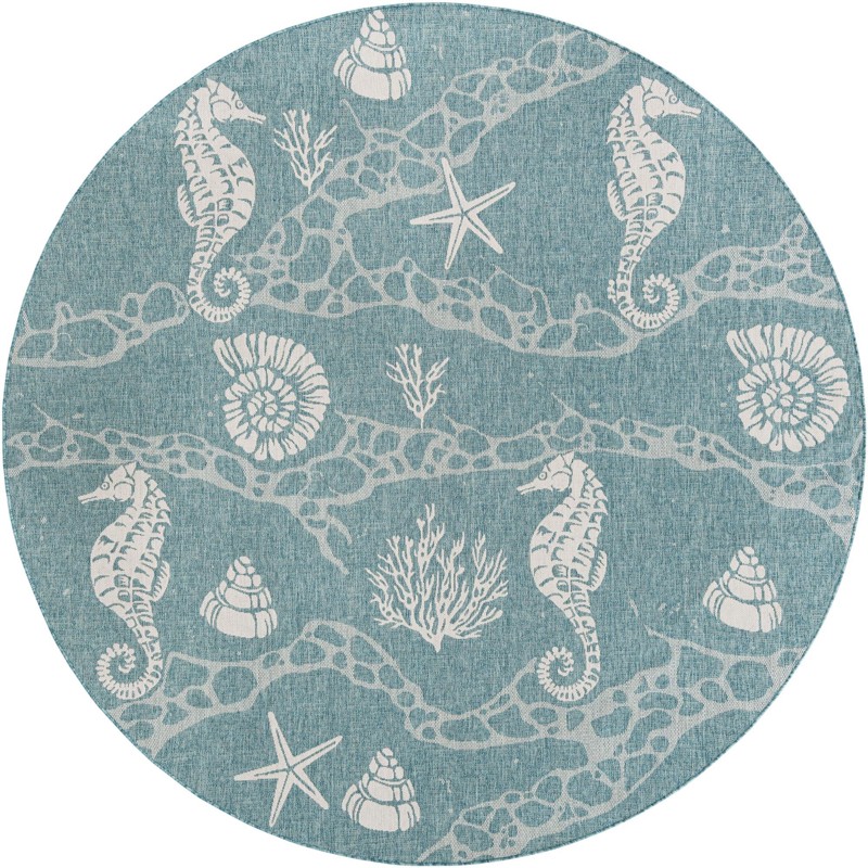 10' x 10' Daly · Coastal Outdoor Rug, aqua and ivory