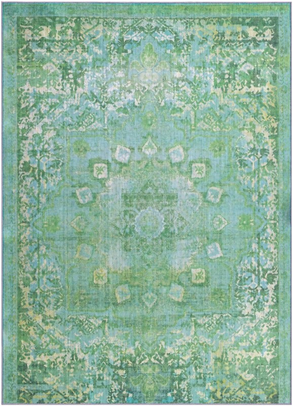 5' x 7' Rideout · Distressed medallion rug, turquoise and green
