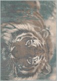 Color variant