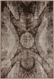 Color variant