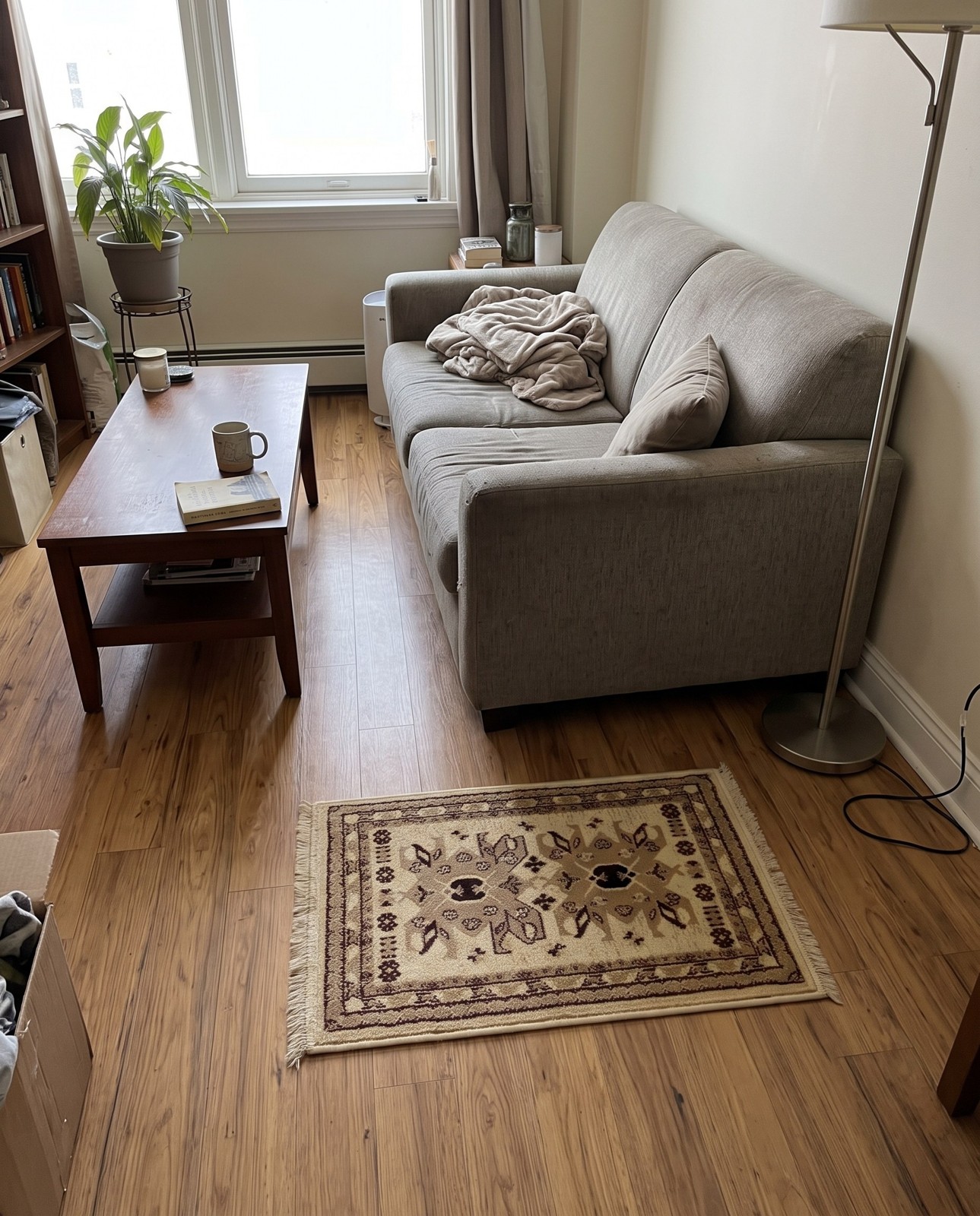 2' x 3' Isadora · Border rug, ivory