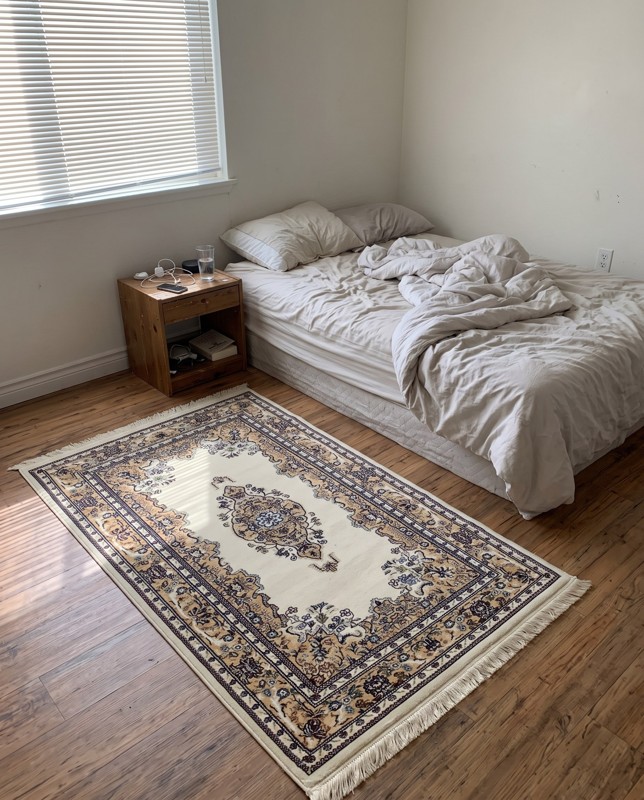 Galveston Medallion rug, cream and tan, 3×5, in a room