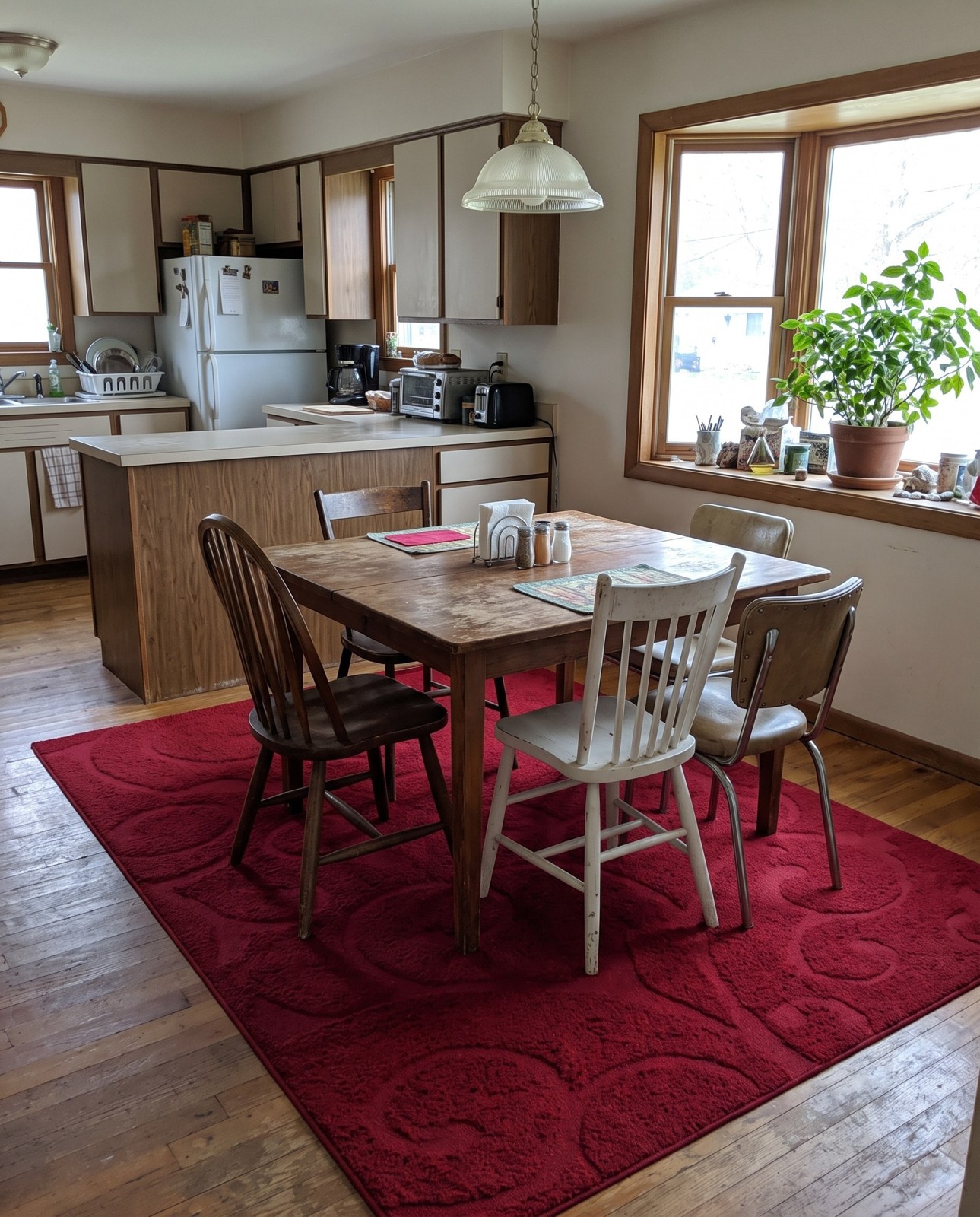 7' 10 x 11' Conway · Floral / botanical Shag Rug