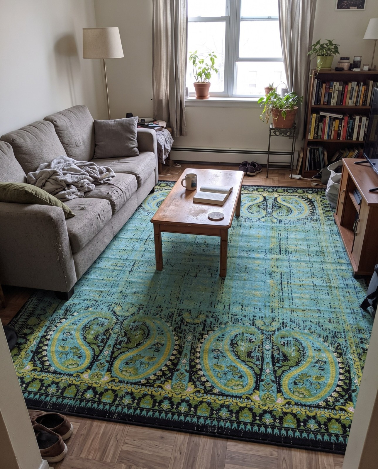 10' x 13' Harley · Border rug