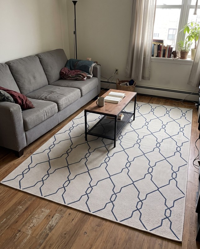 Bronson Geometric trellis rug, ivory and navy, 4×6, in a room
