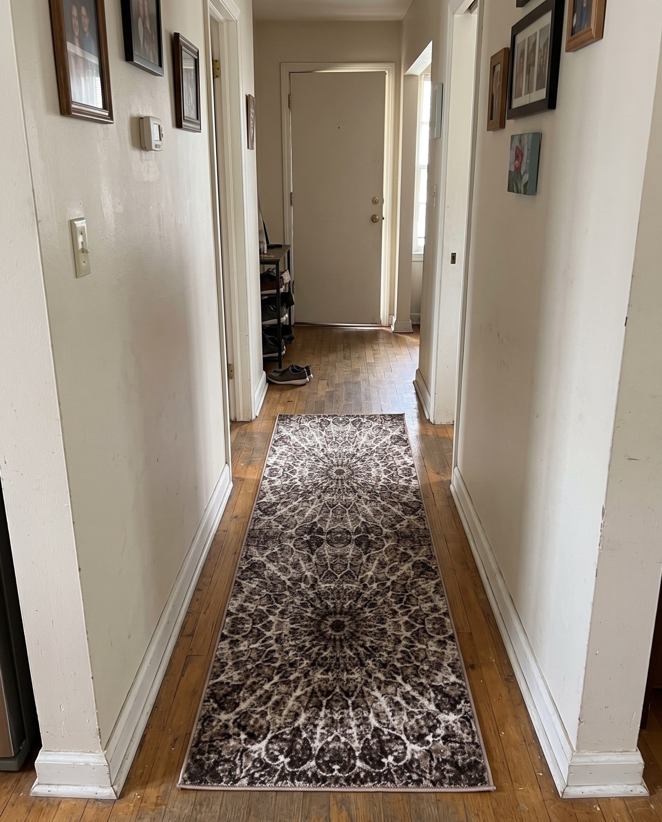 2' x 3' Blakemore · Medallion runner rug, brown and ivory