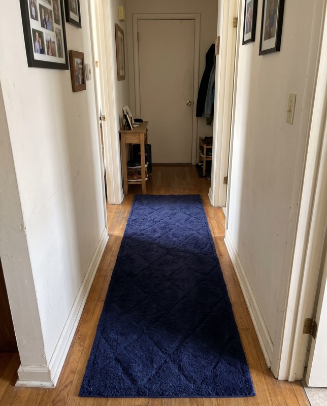 Ancrum Diamond rug, navy blue, 10 Ft Runner, in a room