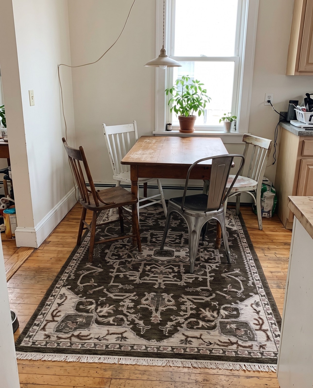 5' x 7' 7 Colter · Border rug, green