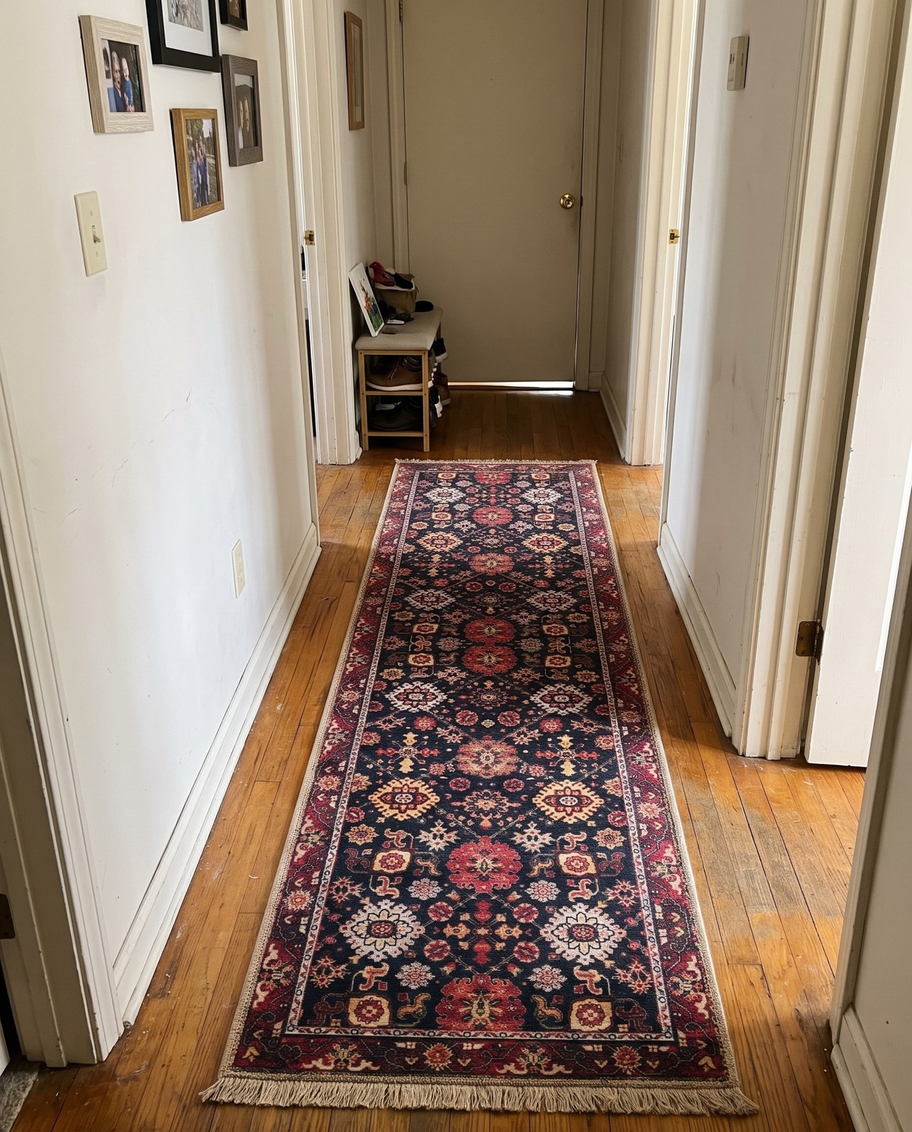 2' x 8' Carden · Persian Washable Rug, black, red and gold