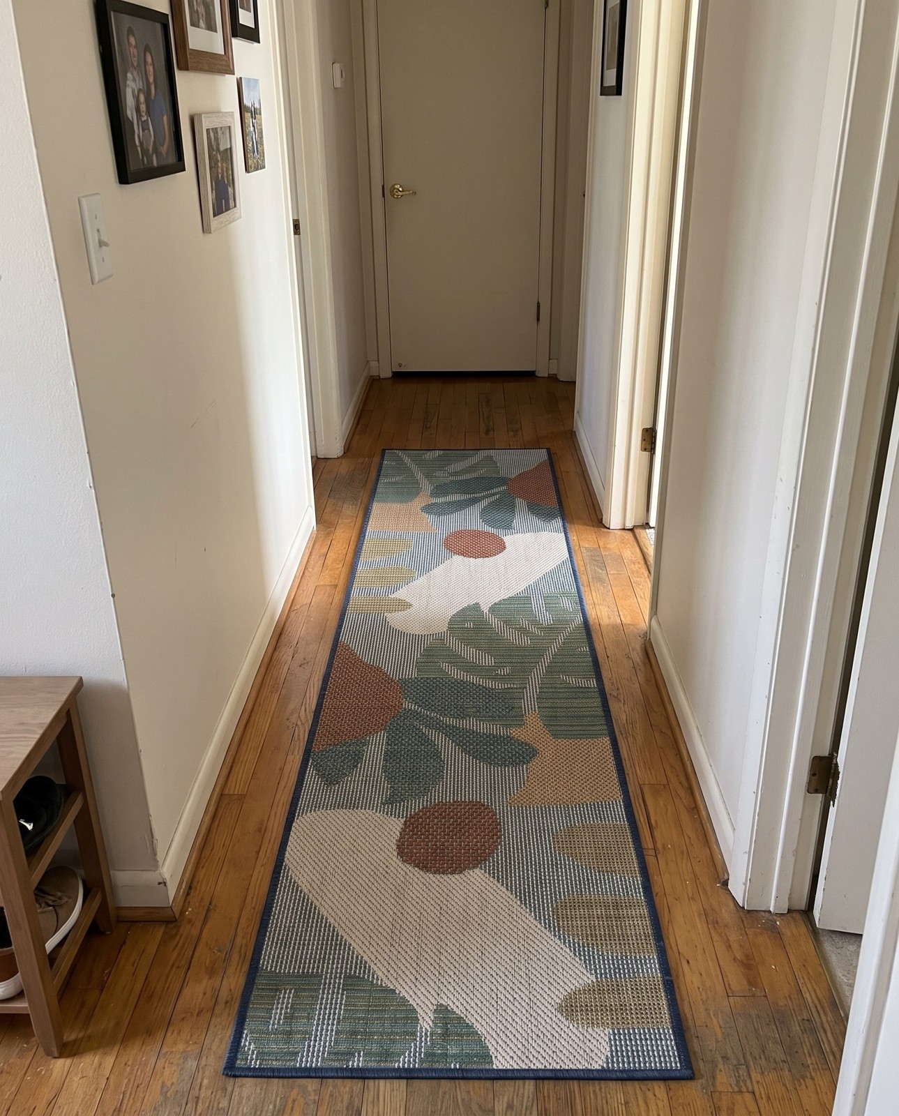 2' 7 x 12' Sturgis · Abstract botanical Outdoor Rug, blue and multicolor