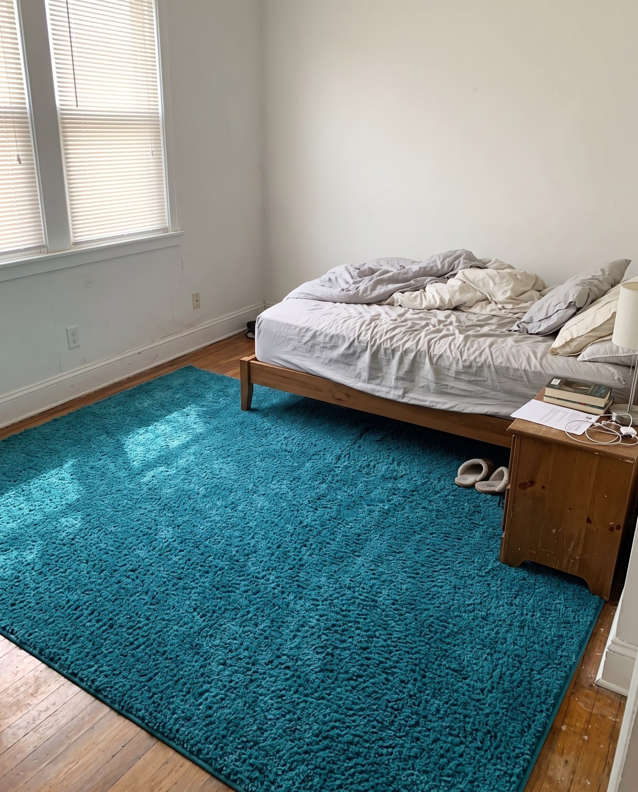 10' x 13' Jameson · Solid Shag Rug