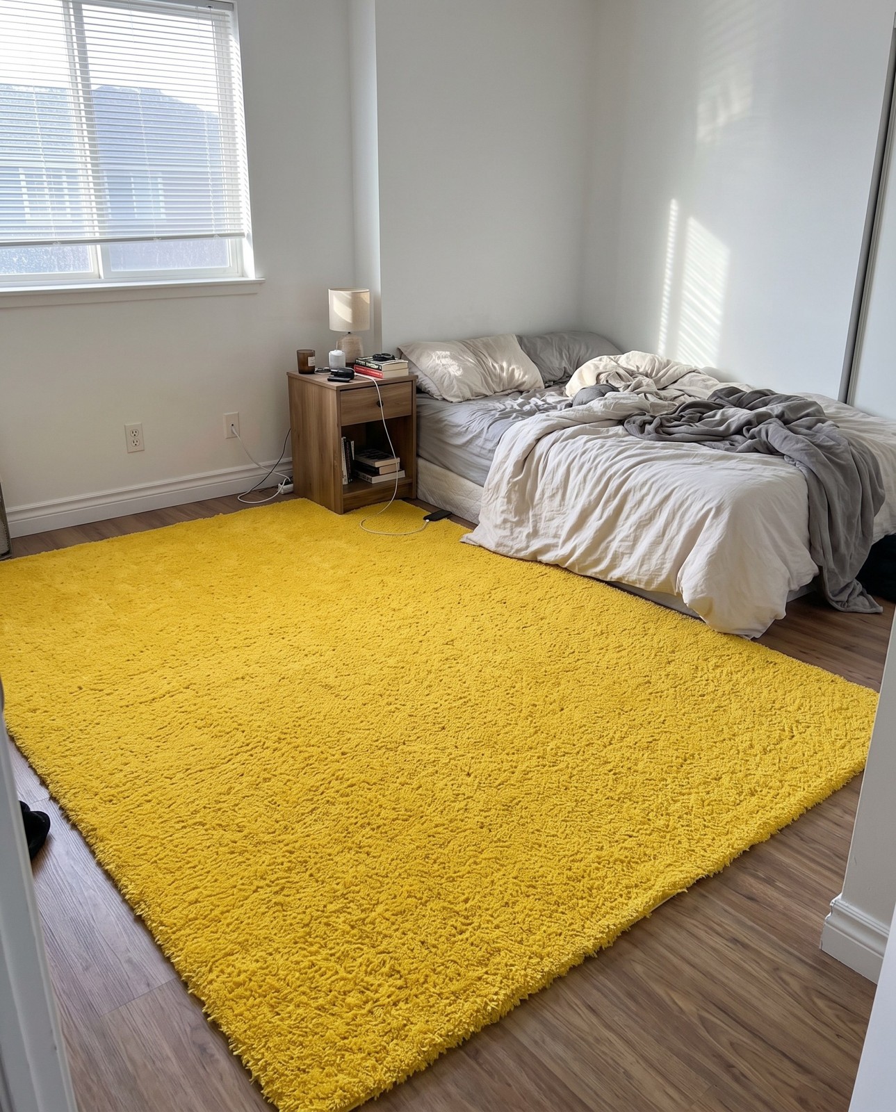 9' x 12' Jameson · Solid Shag Rug